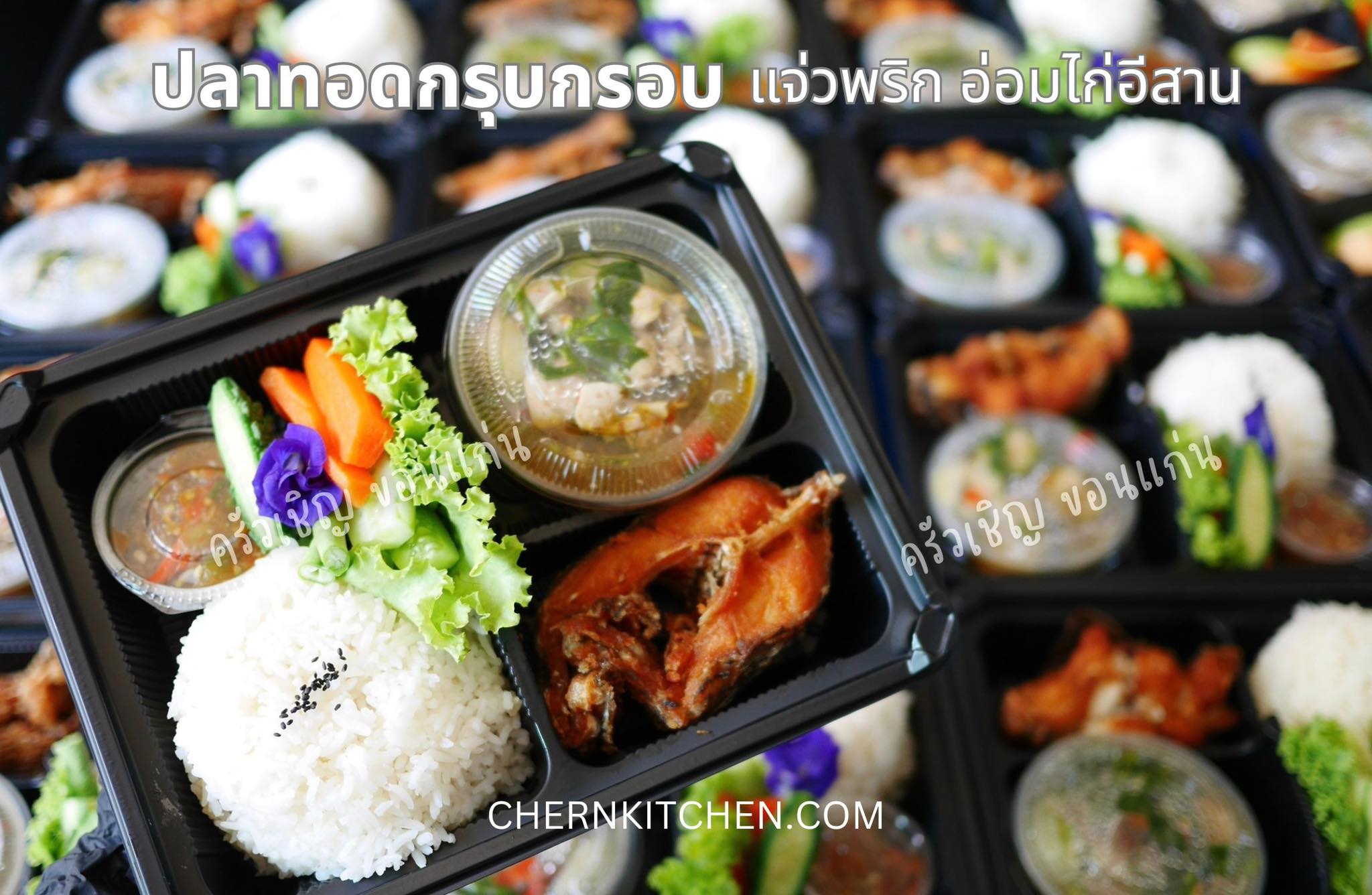 ข้าวกล่องขอนแก่น