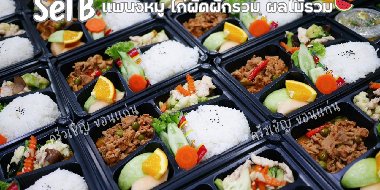 ข้าวกล่องขอนแก่น – Set B เช้านี้ค่ะ แพนงหมู ไก่ผัดผักรวม ผลไม้รวม