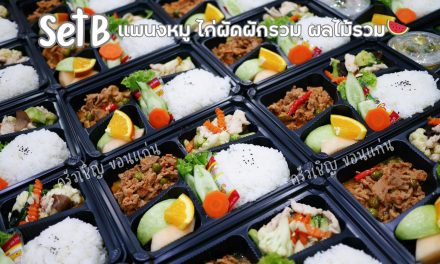 ข้าวกล่องขอนแก่น – Set B เช้านี้ค่ะ แพนงหมู ไก่ผัดผักรวม ผลไม้รวม