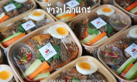 ข้าวกล่องขอนแก่น – ข้าวปลาแกะ