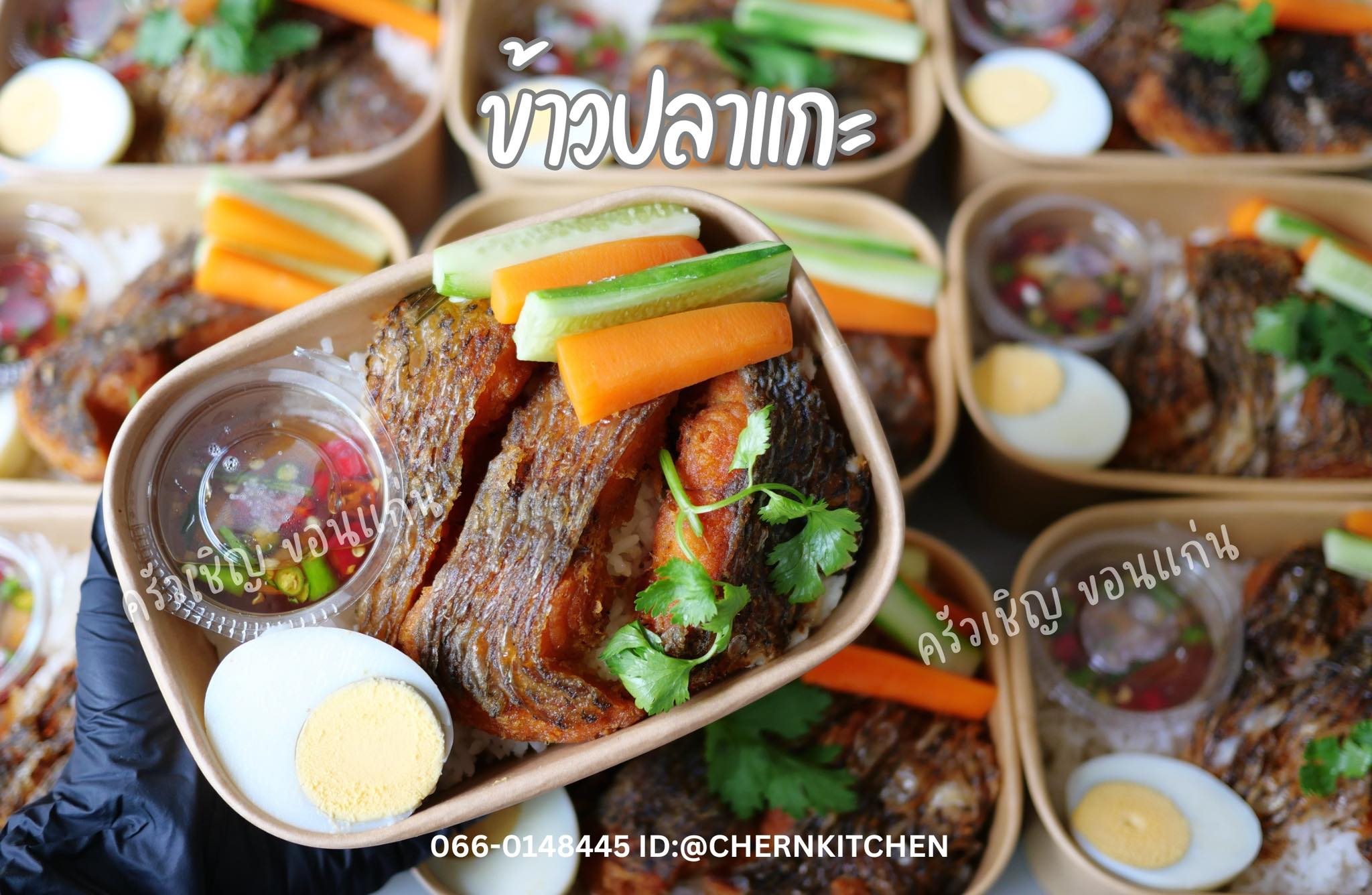 ข้าวกล่องขอนแก่น