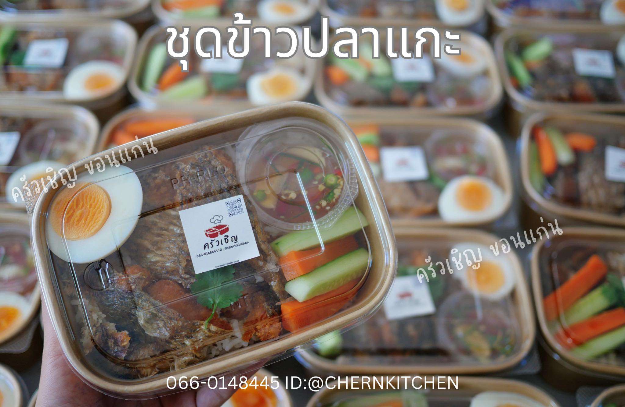 ข้าวกล่องขอนแก่น