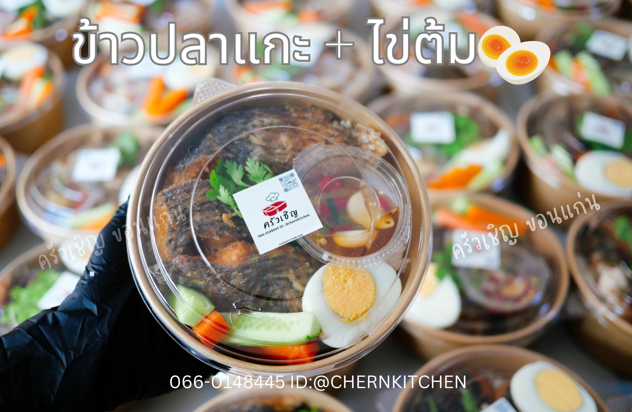 ข้าวกล่องขอนแก่น